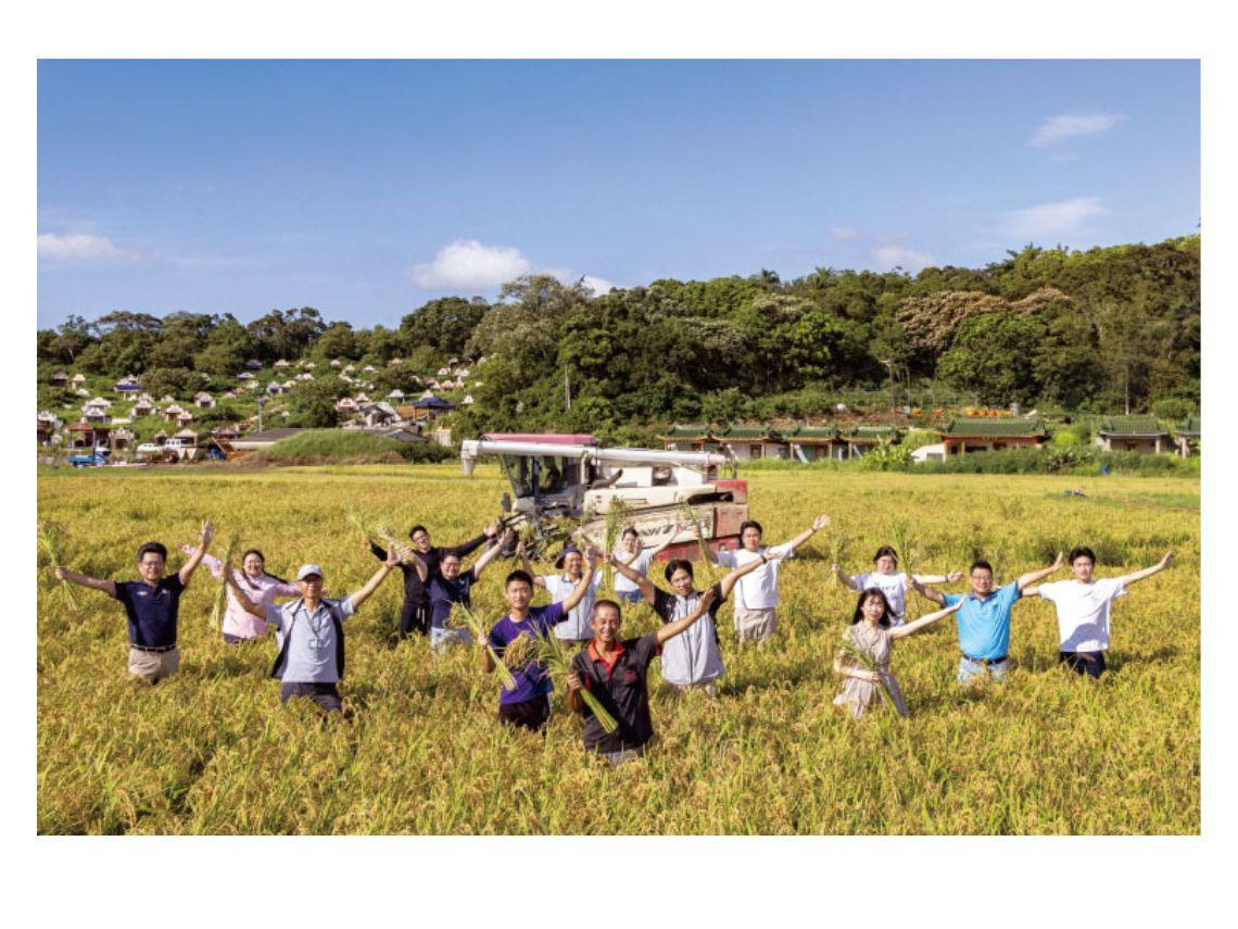 2026永續城市系列2一不用看天吃飯！桃園把「放流水」變灌溉水，地方公務員如何讓稻田增產22.3％